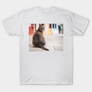 Cat T-Shirt